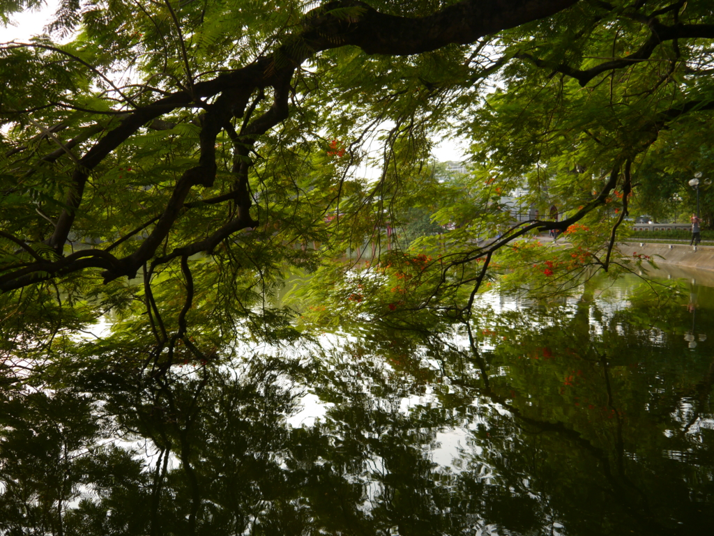 f:id:kurubibi:20150810194012j:plain f:id:kurubibi:20150810194012j:plain