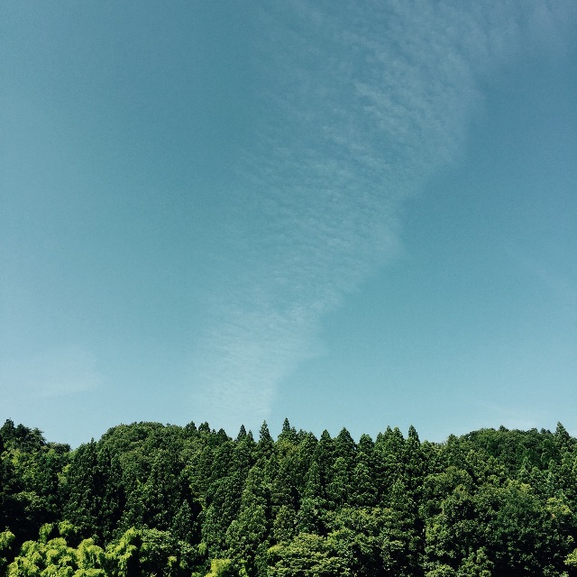 f:id:kushiyakiyaechan:20150719234820j:image f:id:kushiyakiyaechan:20150719234820j:image