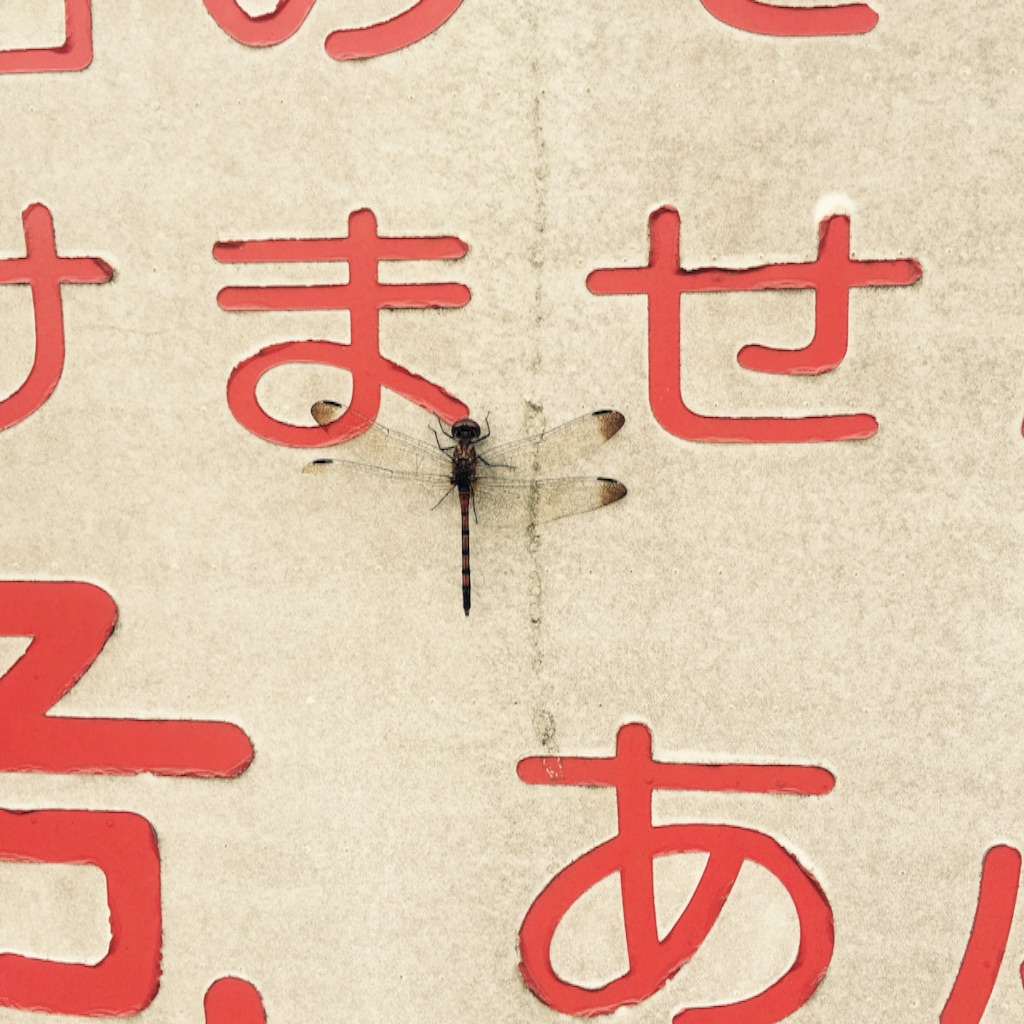 f:id:kushiyakiyaechan:20150823020334j:image f:id:kushiyakiyaechan:20150823020334j:image