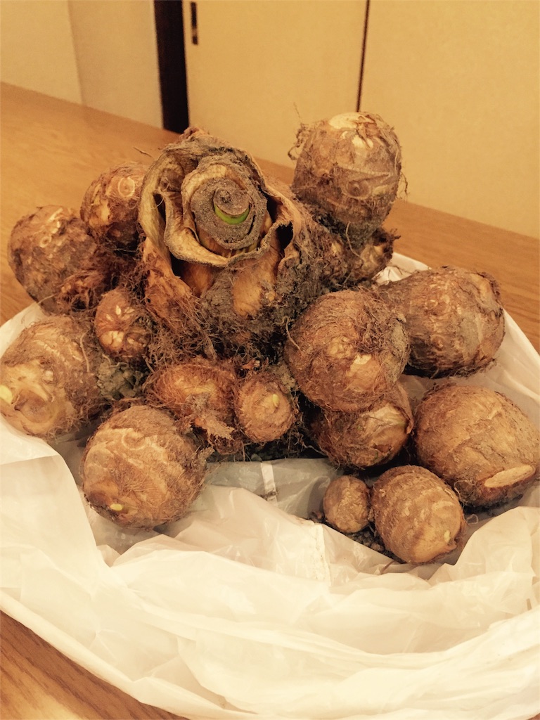f:id:kushiyakiyaechan:20151011100229j:image f:id:kushiyakiyaechan:20151011100229j:image
