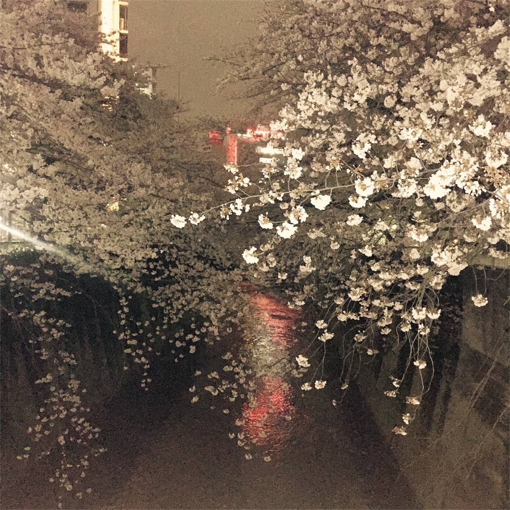 f:id:kushiyakiyaechan:20160403220421j:image f:id:kushiyakiyaechan:20160403220421j:image