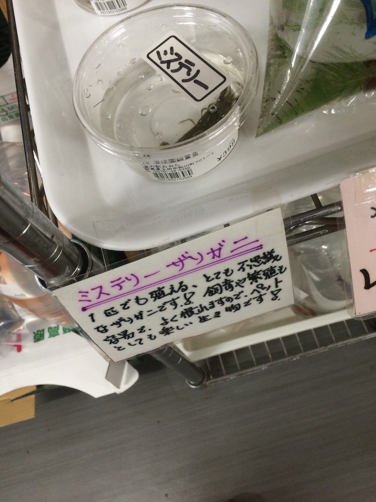 f:id:kutsu_shita:20150923012445j:image f:id:kutsu_shita:20150923012445j:image