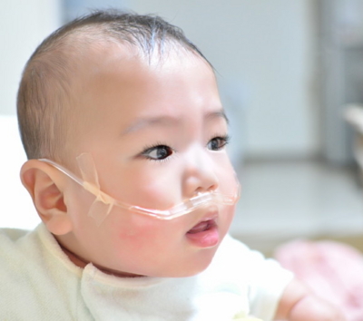 f:id:kuwachan-family:20111119222933j:image f:id:kuwachan-family:20111119222933j:image