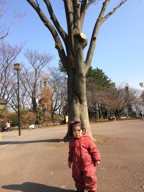 f:id:kuwachan-family:20140309160214j:plain f:id:kuwachan-family:20140309160214j:plain