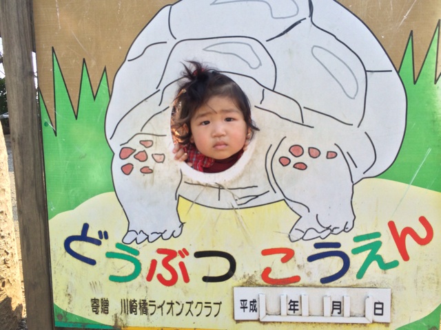 f:id:kuwachan-family:20140309161733j:plain f:id:kuwachan-family:20140309161733j:plain