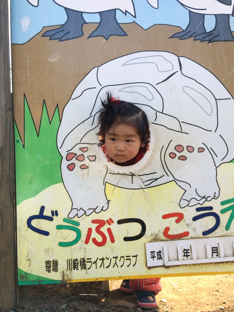 f:id:kuwachan-family:20140309161907j:plain f:id:kuwachan-family:20140309161907j:plain