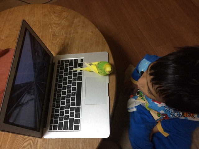 f:id:kuwachan-family:20141110073850j:plain f:id:kuwachan-family:20141110073850j:plain