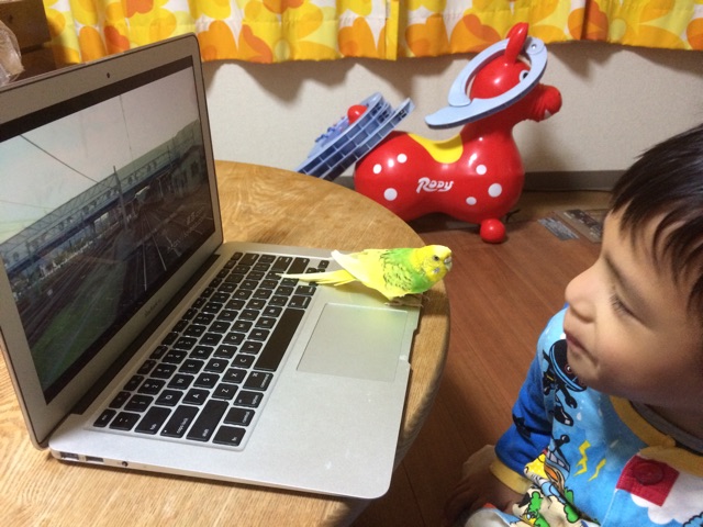 f:id:kuwachan-family:20141110074114j:plain f:id:kuwachan-family:20141110074114j:plain