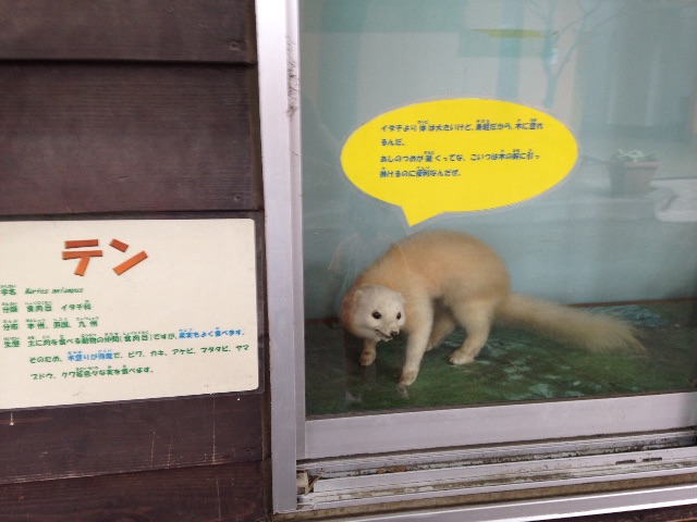 f:id:kuwachan-family:20150606063546j:image f:id:kuwachan-family:20150606063546j:image