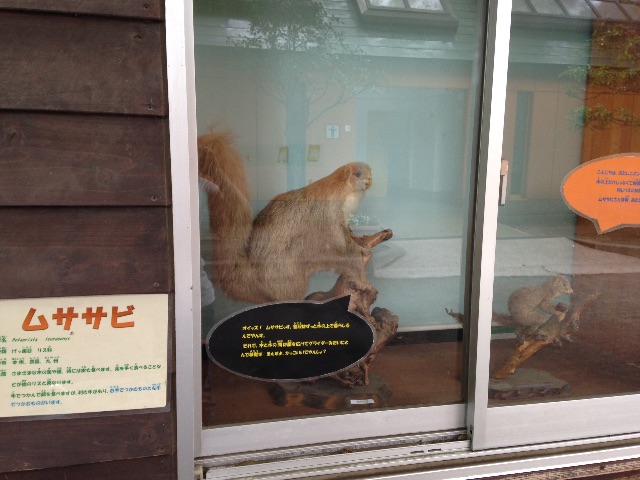 f:id:kuwachan-family:20150606063557j:image f:id:kuwachan-family:20150606063557j:image