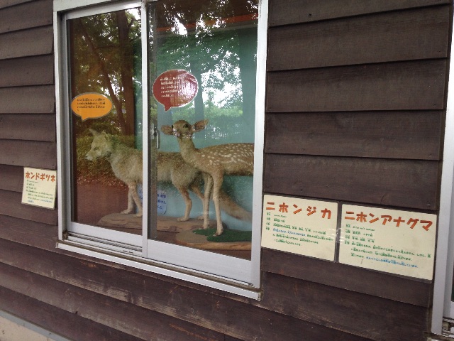 f:id:kuwachan-family:20150606063605j:image f:id:kuwachan-family:20150606063605j:image
