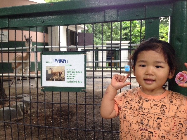 f:id:kuwachan-family:20150606063918j:image f:id:kuwachan-family:20150606063918j:image