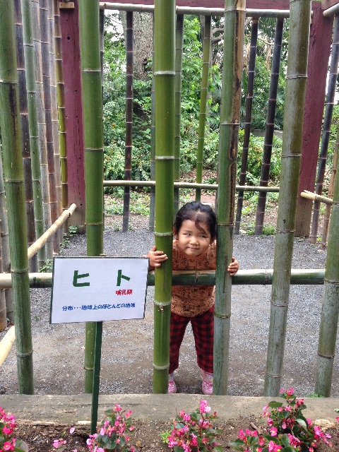 f:id:kuwachan-family:20150606064102j:image f:id:kuwachan-family:20150606064102j:image
