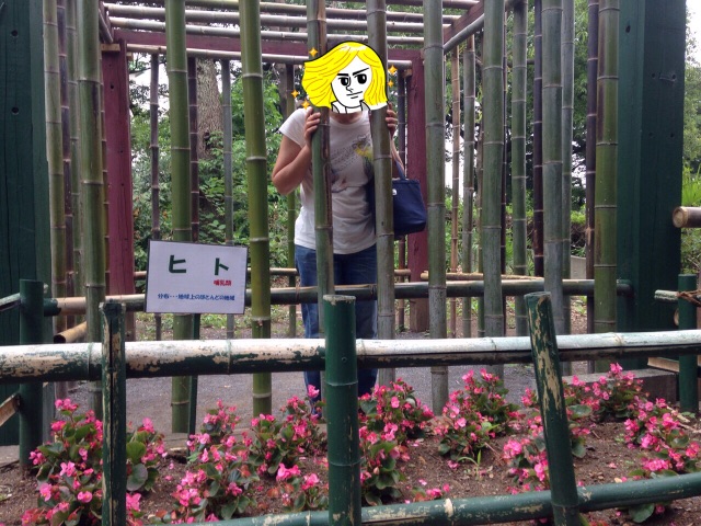 f:id:kuwachan-family:20150606064205j:image f:id:kuwachan-family:20150606064205j:image