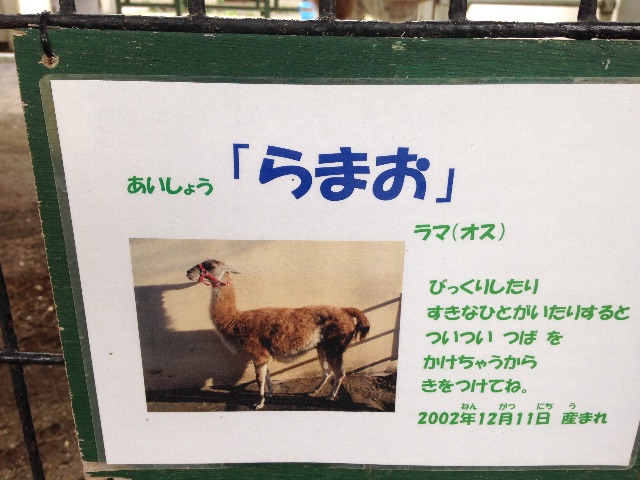 f:id:kuwachan-family:20150606075308j:image f:id:kuwachan-family:20150606075308j:image