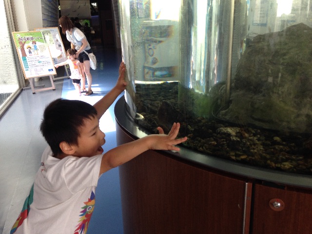 f:id:kuwachan-family:20150628200507j:image f:id:kuwachan-family:20150628200507j:image