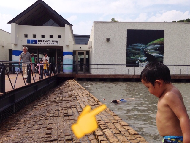f:id:kuwachan-family:20150628200739j:image f:id:kuwachan-family:20150628200739j:image