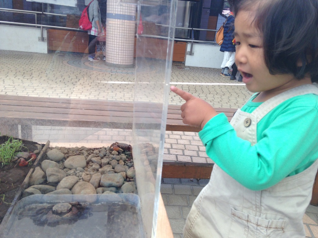 f:id:kuwachan-family:20151014223458j:image f:id:kuwachan-family:20151014223458j:image