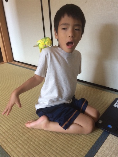 f:id:kuwachan-family:20160105224614j:image f:id:kuwachan-family:20160105224614j:image
