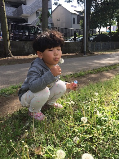 f:id:kuwachan-family:20160513080107j:image f:id:kuwachan-family:20160513080107j:image