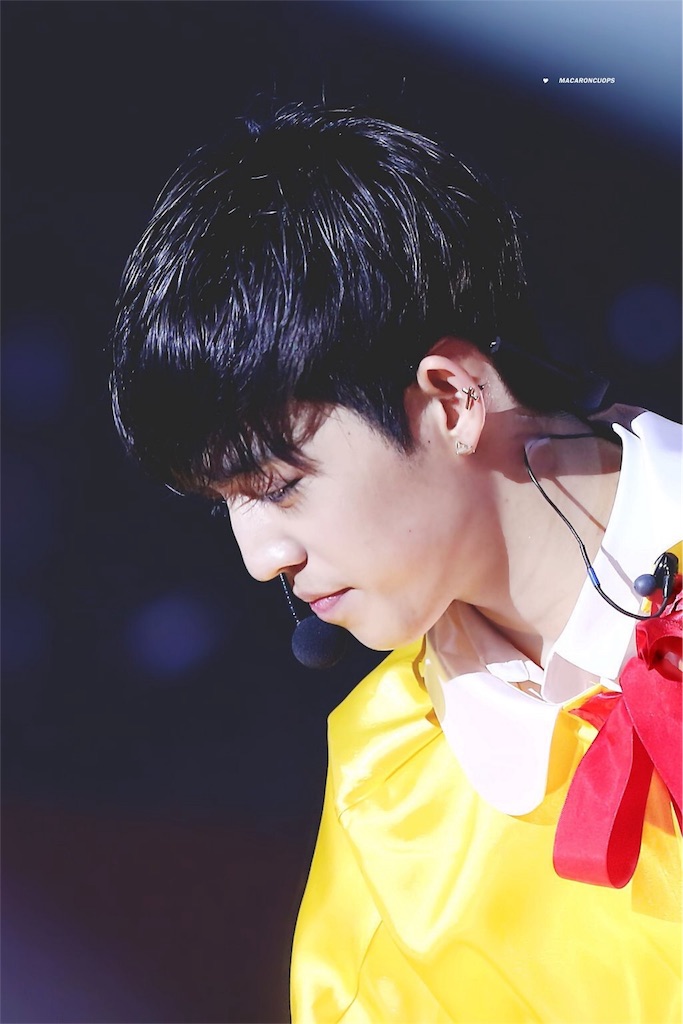 セブチ プロフィール エスクプス編 Essays In Id O Leness