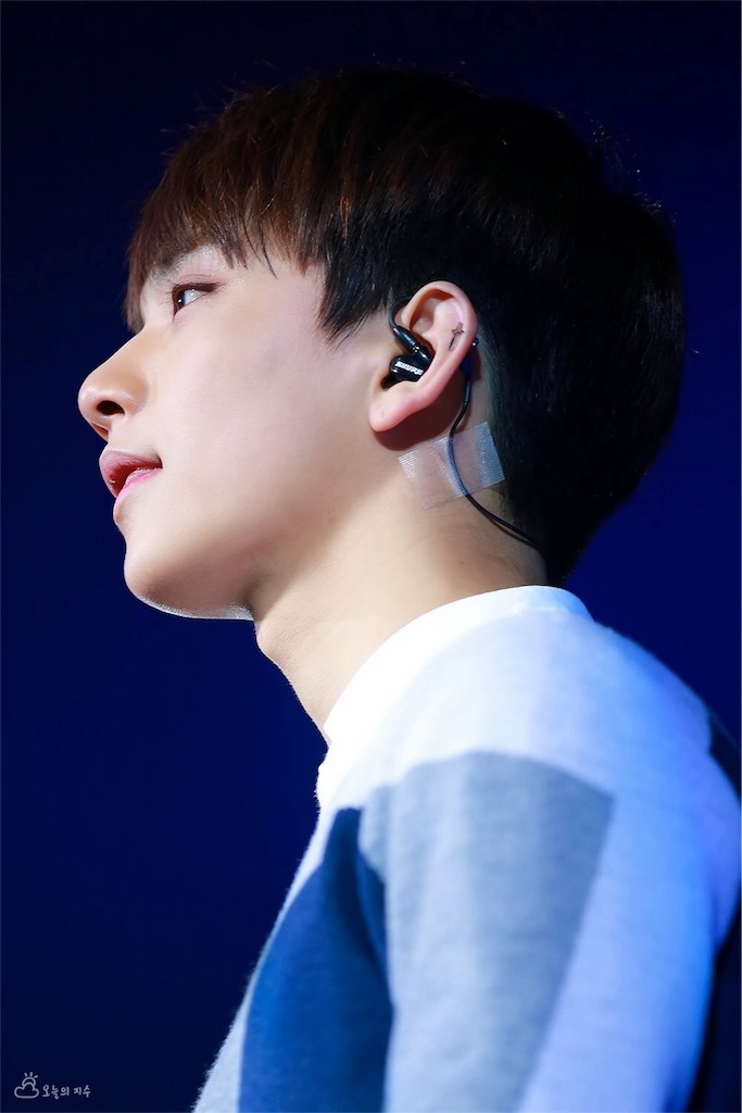 セブチ プロフィール。〜ジョシュア編〜 Essays in Id(o)leness