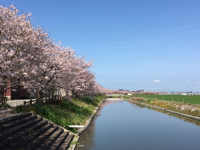 f:id:kyomachi-teron:20160405223553j:plain