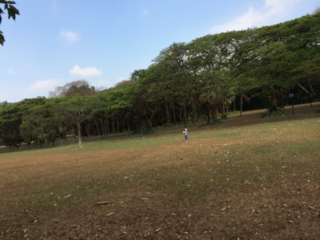 f:id:kyomonatsu:20140824210436j:plain f:id:kyomonatsu:20140824210436j:plain