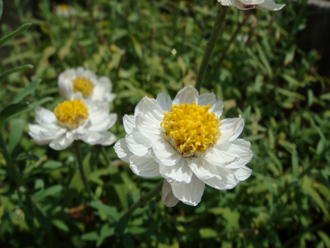 f:id:kyon21:20100501120528j:image f:id:kyon21:20100501120528j:image