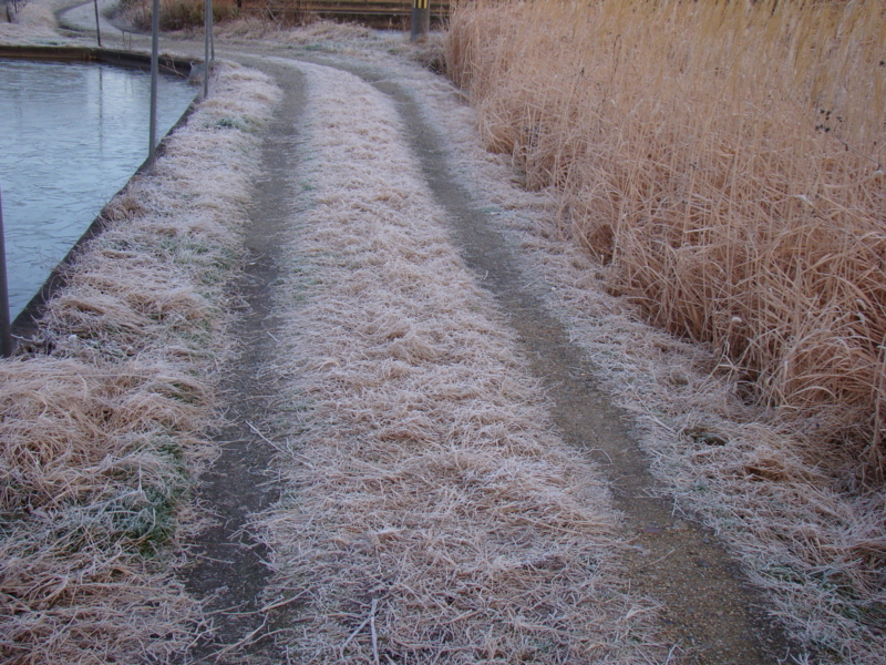 f:id:kyon21:20110103073318j:image f:id:kyon21:20110103073318j:image