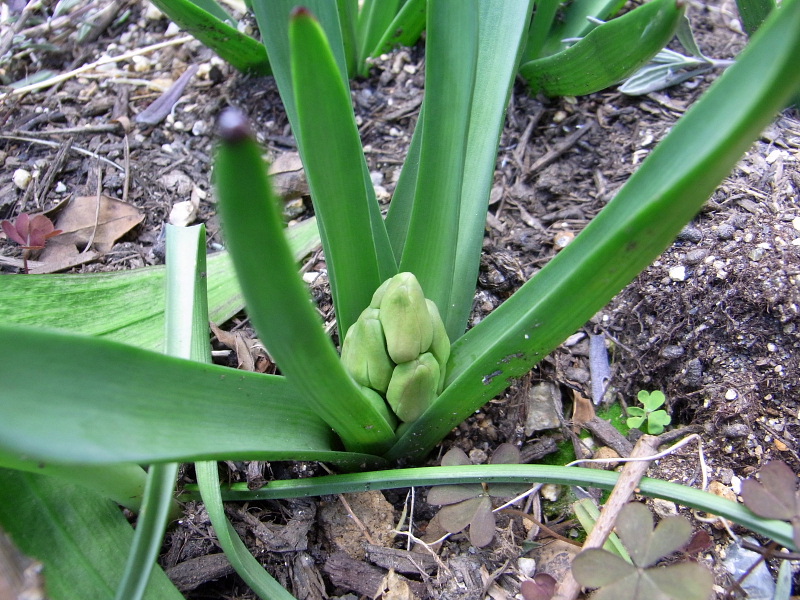 f:id:kyon21:20110313141457j:image f:id:kyon21:20110313141457j:image