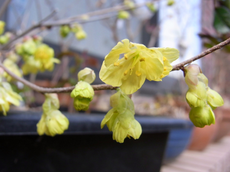 f:id:kyon21:20110313141612j:image f:id:kyon21:20110313141612j:image