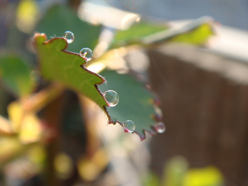 f:id:kyon21:20110331065540j:image f:id:kyon21:20110331065540j:image