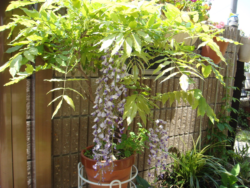 f:id:kyon21:20110429104836j:image f:id:kyon21:20110429104836j:image