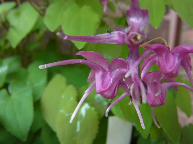 f:id:kyon21:20120416144446j:image f:id:kyon21:20120416144446j:image