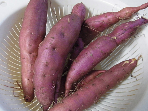 f:id:kyon21:20121120164511j:image f:id:kyon21:20121120164511j:image