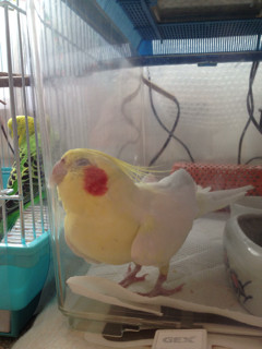 f:id:kyoro99:20130103105637j:plain f:id:kyoro99:20130103105637j:plain