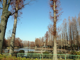 f:id:kyoro99:20130103105734j:plain f:id:kyoro99:20130103105734j:plain