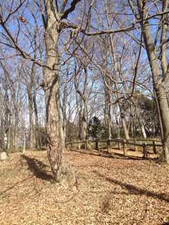 f:id:kyoro99:20130226091100j:plain f:id:kyoro99:20130226091100j:plain