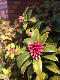 f:id:kyoro99:20130226091352j:plain f:id:kyoro99:20130226091352j:plain
