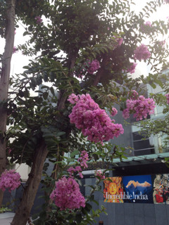 f:id:kyoro99:20130809092347j:plain f:id:kyoro99:20130809092347j:plain