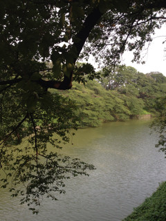 f:id:kyoro99:20130809092409j:plain f:id:kyoro99:20130809092409j:plain