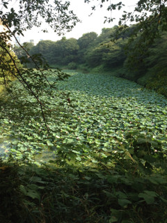 f:id:kyoro99:20130823091707j:plain f:id:kyoro99:20130823091707j:plain