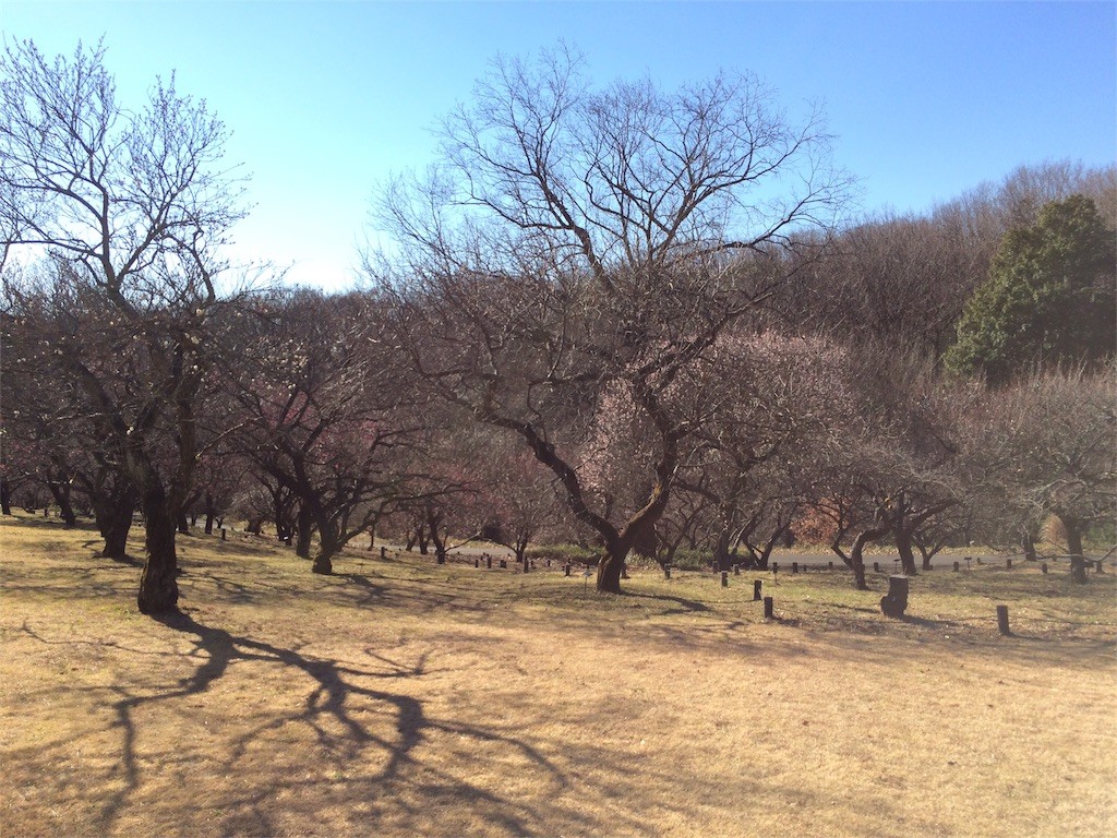 f:id:kyoro99:20160110100928j:image f:id:kyoro99:20160110100928j:image