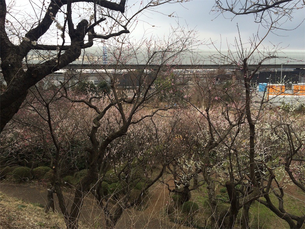 f:id:kyoro99:20160309085741j:image f:id:kyoro99:20160309085741j:image