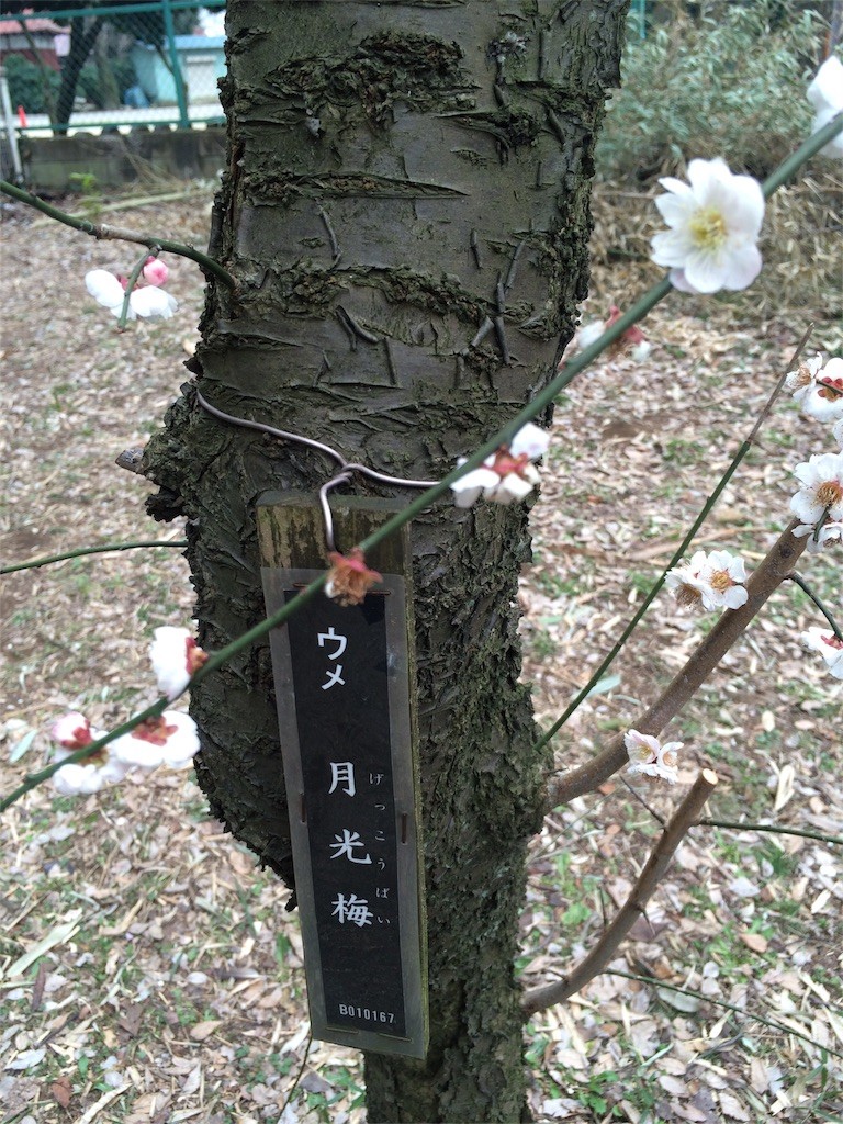 f:id:kyoro99:20160309085759j:image f:id:kyoro99:20160309085759j:image