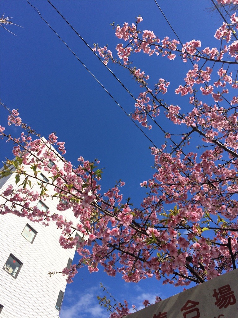 f:id:kyoro99:20160315092348j:image f:id:kyoro99:20160315092348j:image