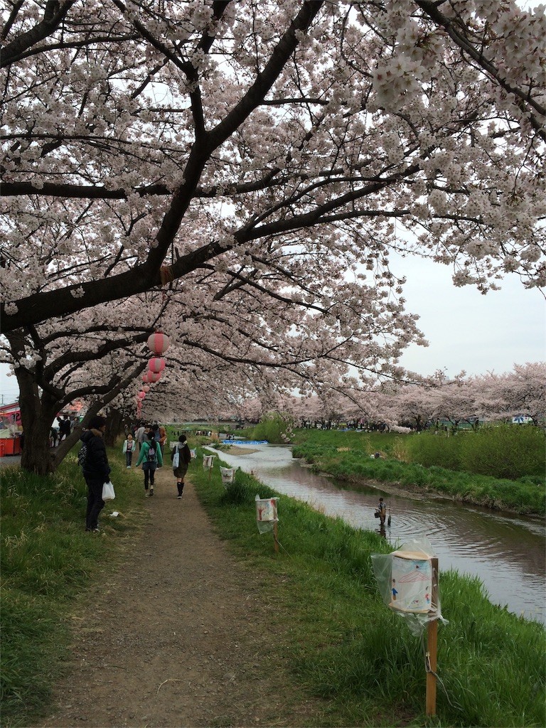 f:id:kyoro99:20160404084601j:image f:id:kyoro99:20160404084601j:image