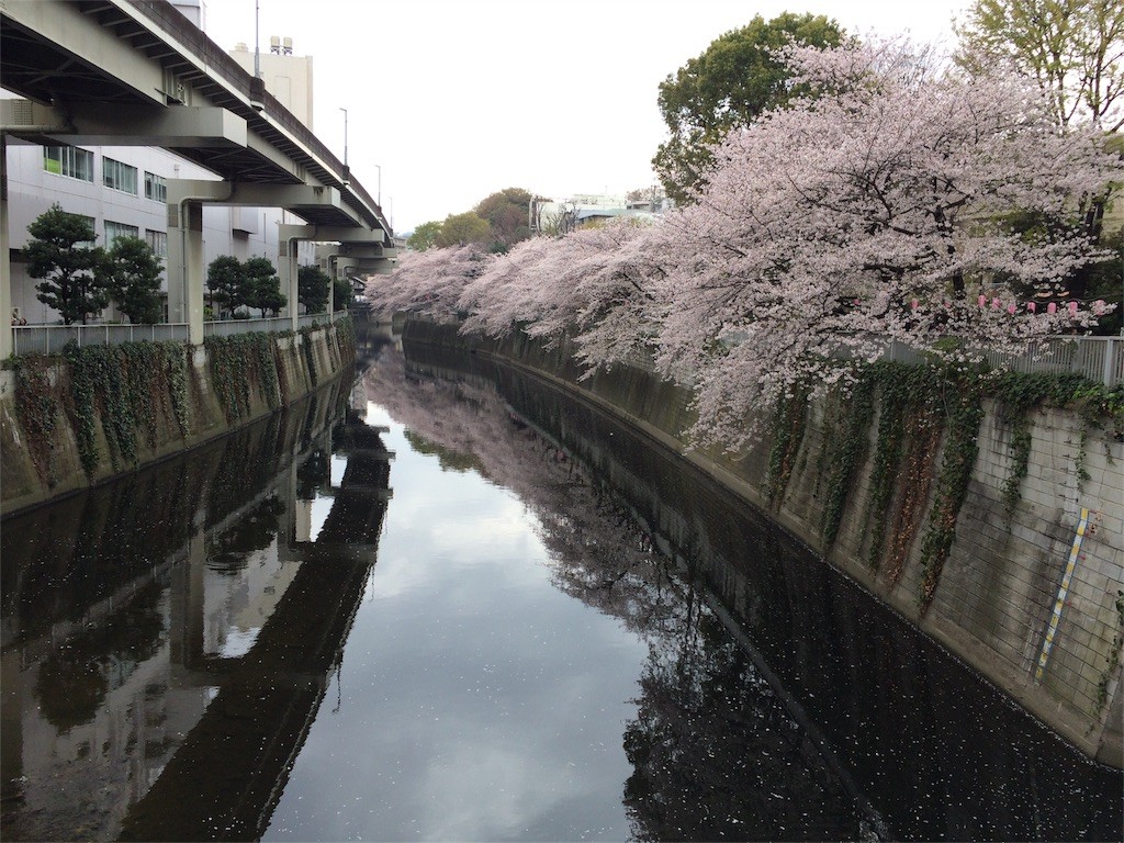f:id:kyoro99:20160404090346j:image f:id:kyoro99:20160404090346j:image