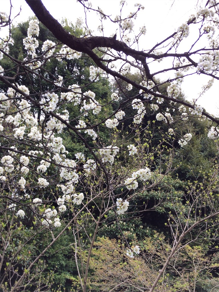 f:id:kyoro99:20160404091046j:image f:id:kyoro99:20160404091046j:image